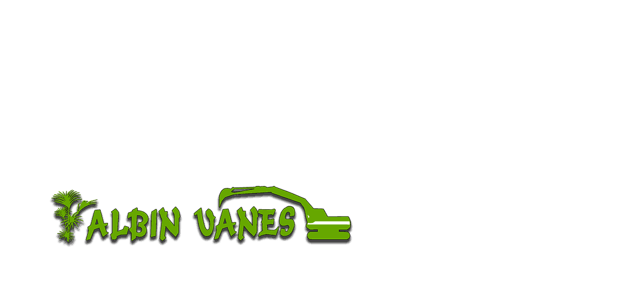 Logo albin vanes